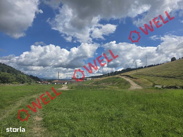 Teren de 109371 mp, în Lunca de Sus