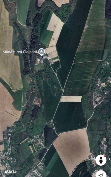 Teren de 260000 mp, în Central