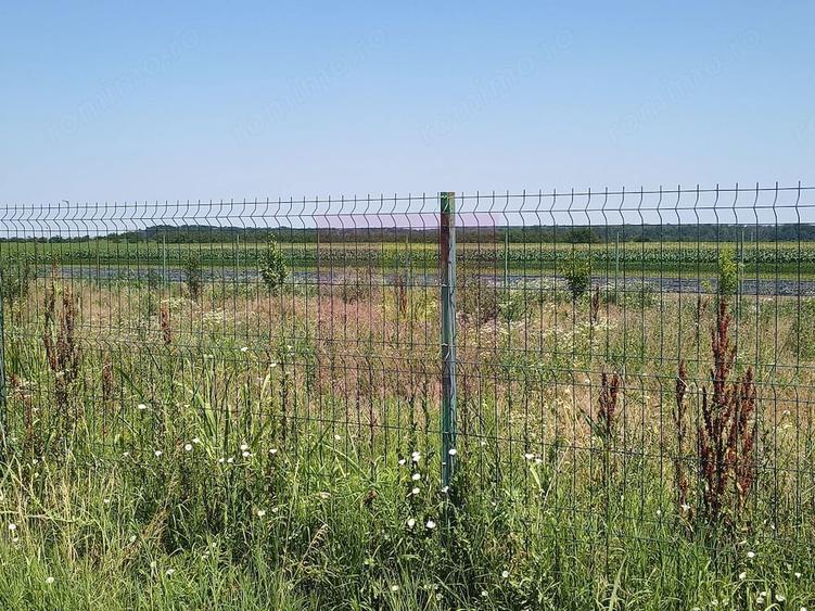 Teren de 582 mp, în Copăceni