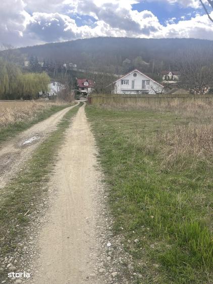 Teren de 700 mp, în Hemeiuș