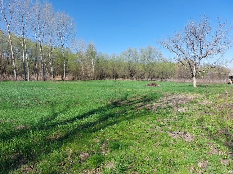 Teren Construcții intravilan de 3800 mp, în Măstăcani