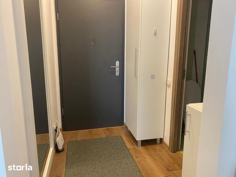 Apartament 2 camere, str Al Vaida Voievod, zona FSEGA - 12