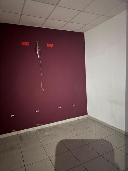 Spațiu comercial, de 55.799999237061 mp, în Mihai Bravu