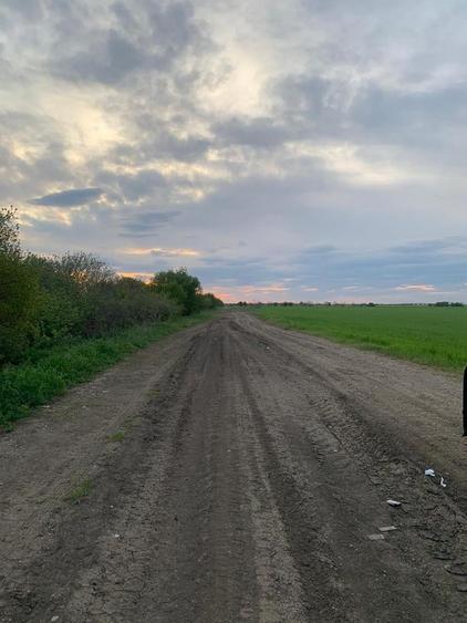 Teren Construcții intravilan de 30000 mp, în Ștefăneștii de Jos