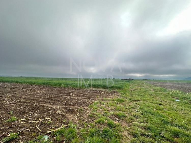 Teren agricol extravilan de 2710 mp, în Gura Râului