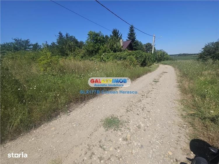 Spațiu comercial, în Grădiștea