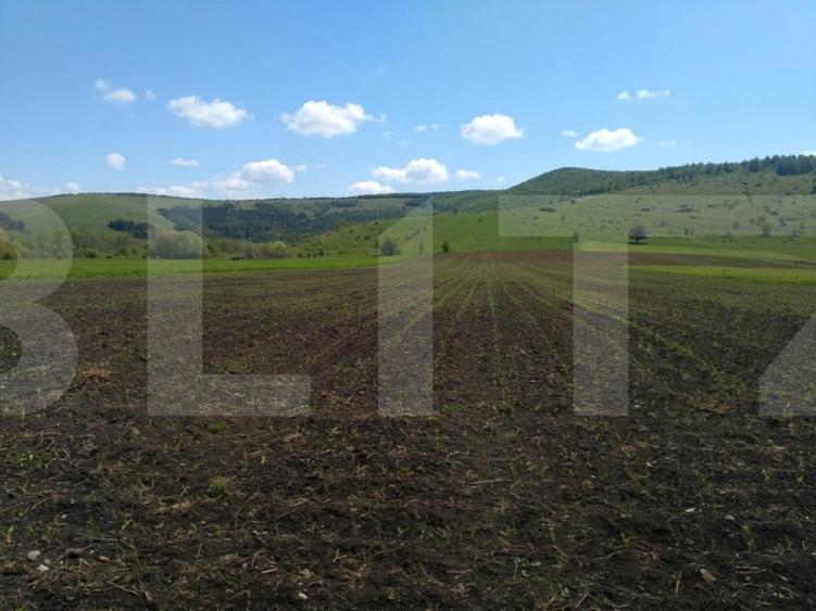 Teren agricol extravilan de 48100 mp, în Lisnău