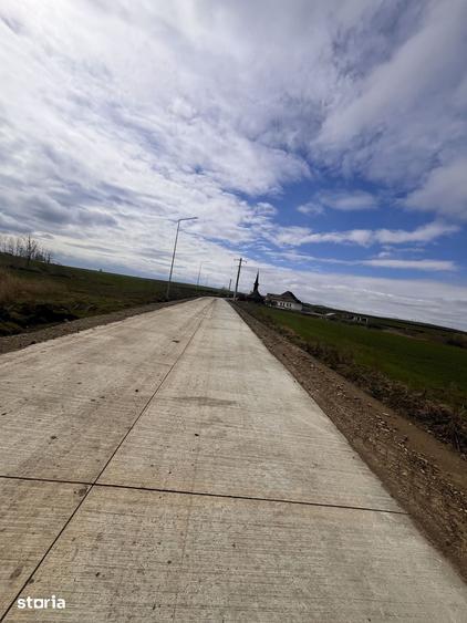 Teren de 8500 mp, în Curtești