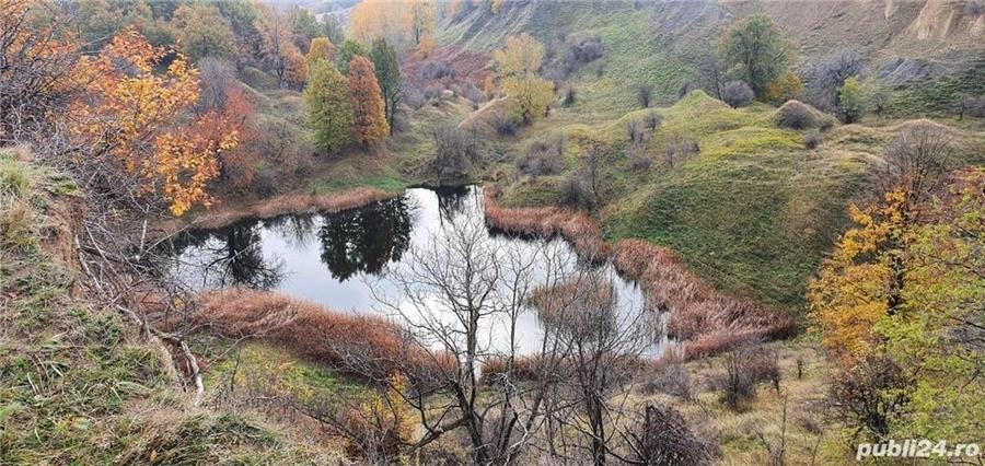 Teren de 8000 mp, în Central