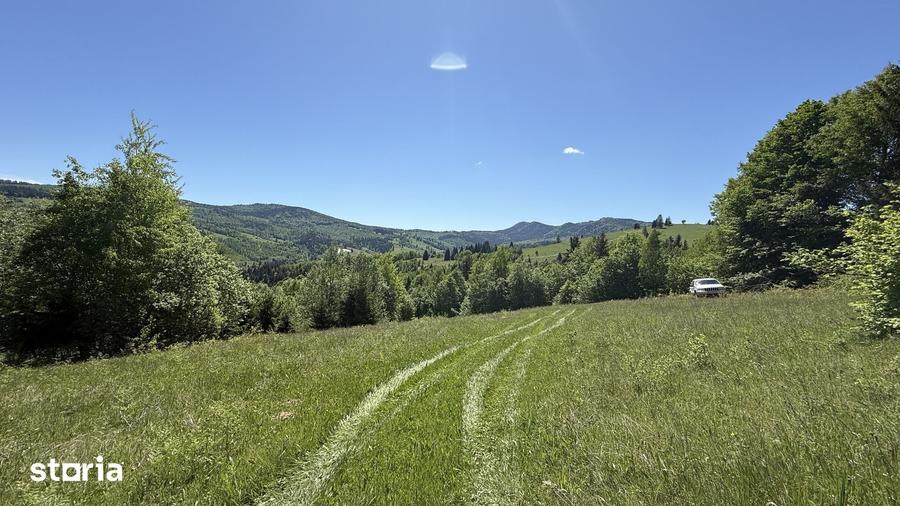 Teren de 21053 mp, în Vama