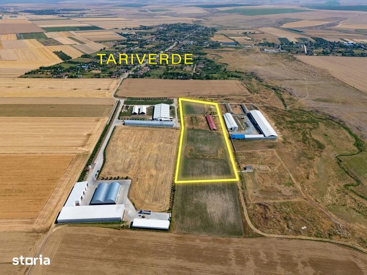 Teren de 29560 mp, în Cogealac