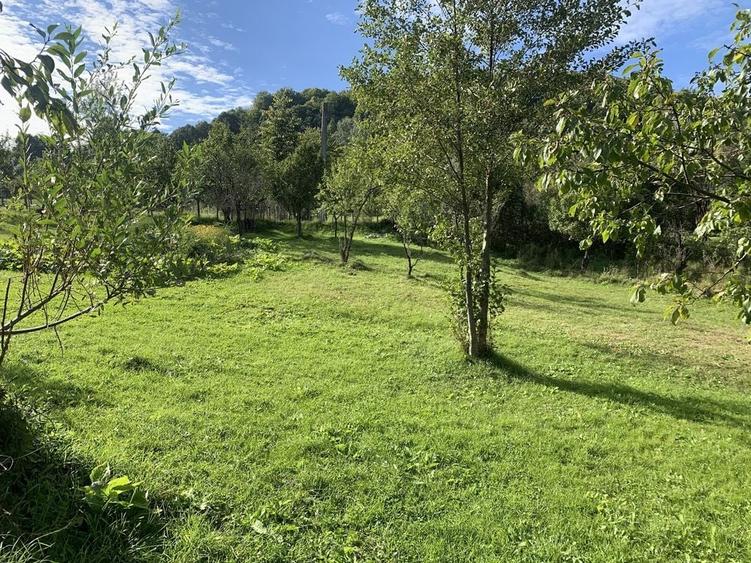 Casă cu 3 camere cu Teren 1128 Mp în Vârfuri