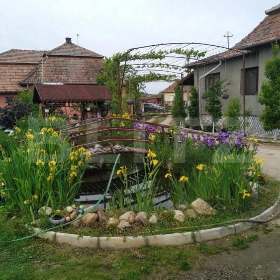 Casă individuală cu 6 camere cu Teren 3500 Mp în Florești