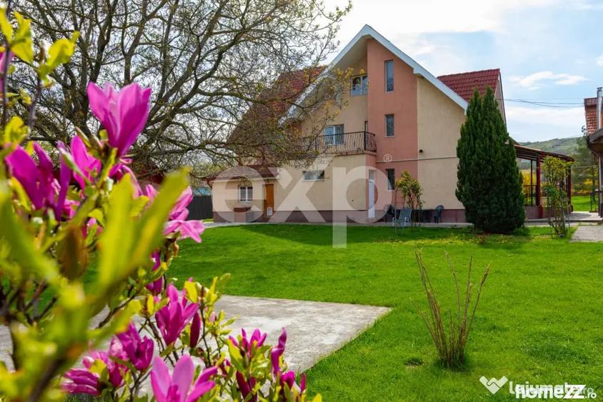 Casă cu 5 camere cu Teren 3659 Mp în Sărata