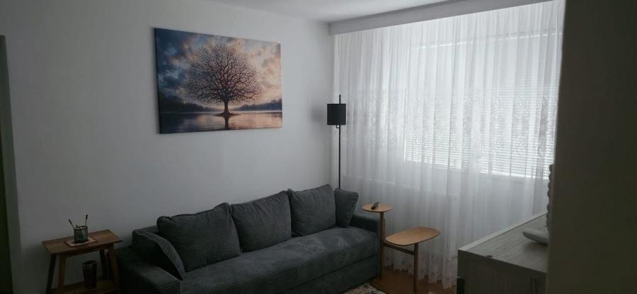 Apartament cu 2 camere semidecomandat în Giurgiului