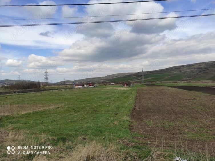 Teren în Mărăști