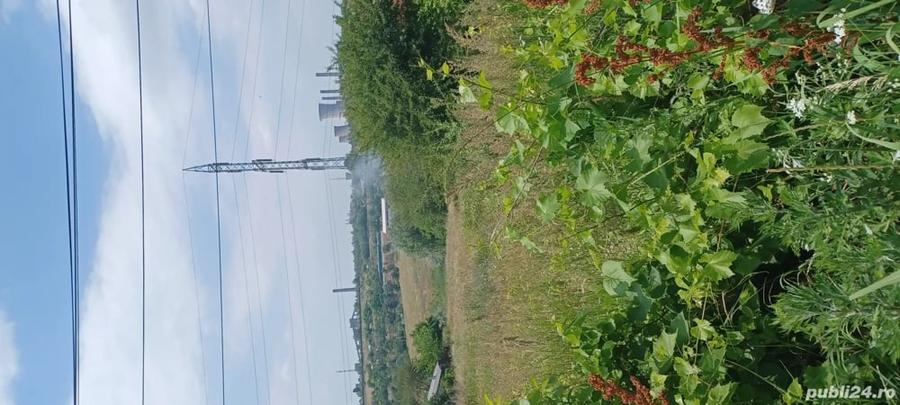 Teren de 2000 mp, în Central