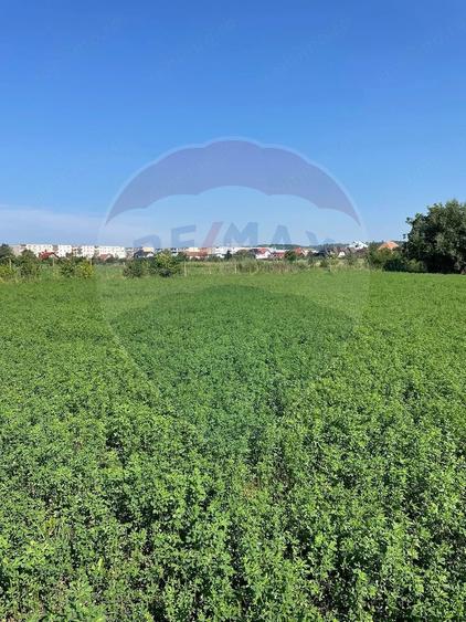 Teren de 1270 mp, în Central