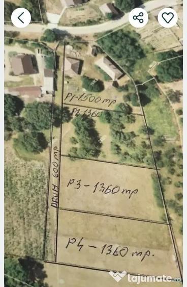 Teren intravilan pentru casa 1360 mp, la 10 minute de Zalau - 3