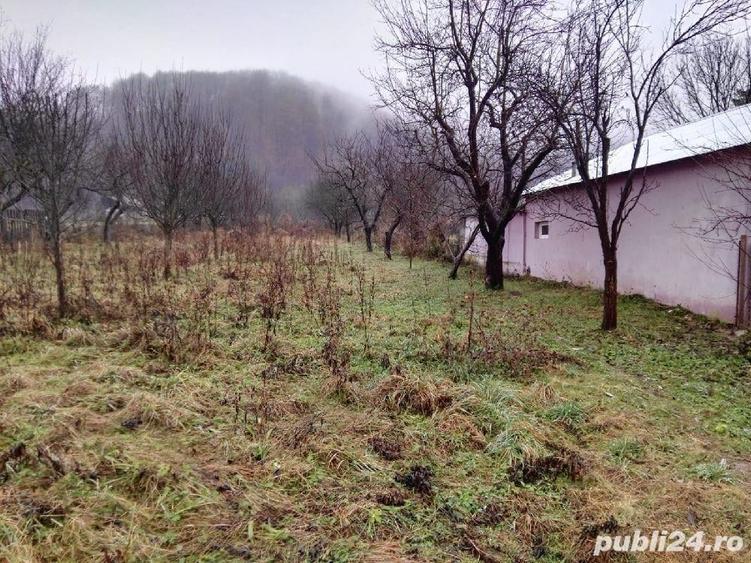 Teren în Bezdead