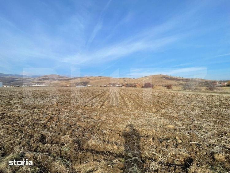 Teren de 13000 mp, în Ighiu