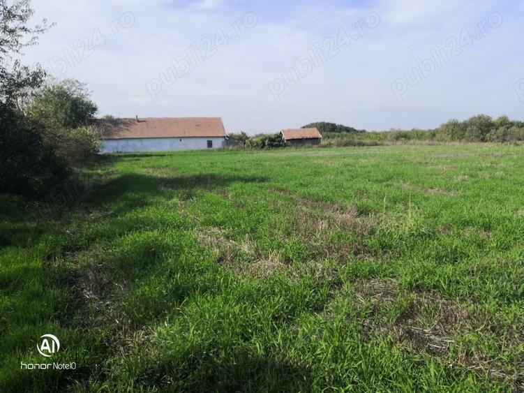 Teren de 13668 mp, în Dudeștii Vechi
