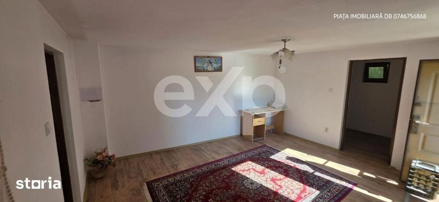 Vila Individuala Imensa + Casa de Oaspeti si Garaj Dublu | Teren 1.00 - 3