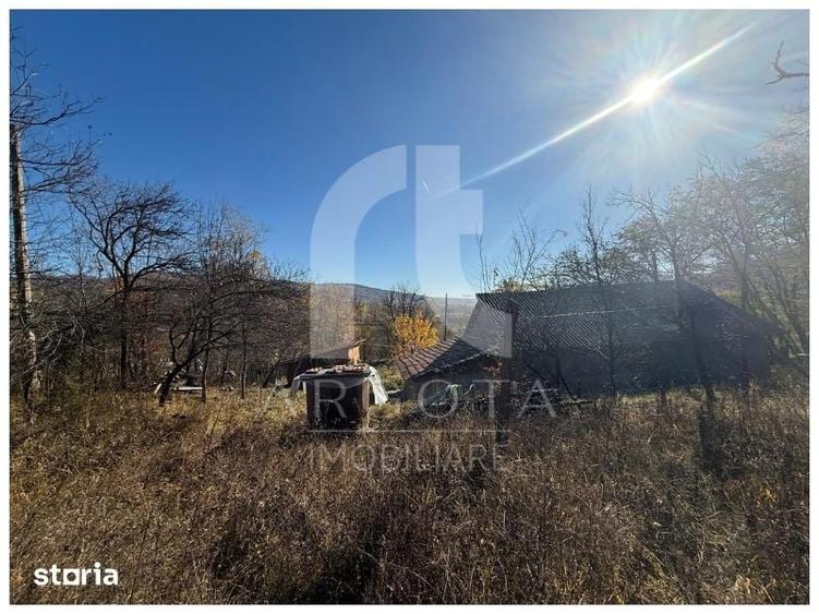Teren de 3250 mp, în Cozieni