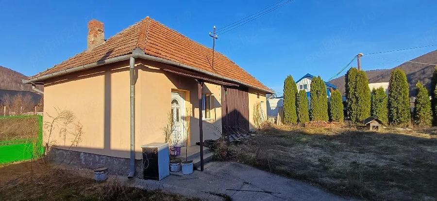 Casă cu Teren 2500 Mp în Negreni