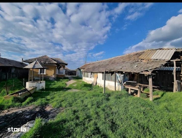 Vand casa la tara - 1