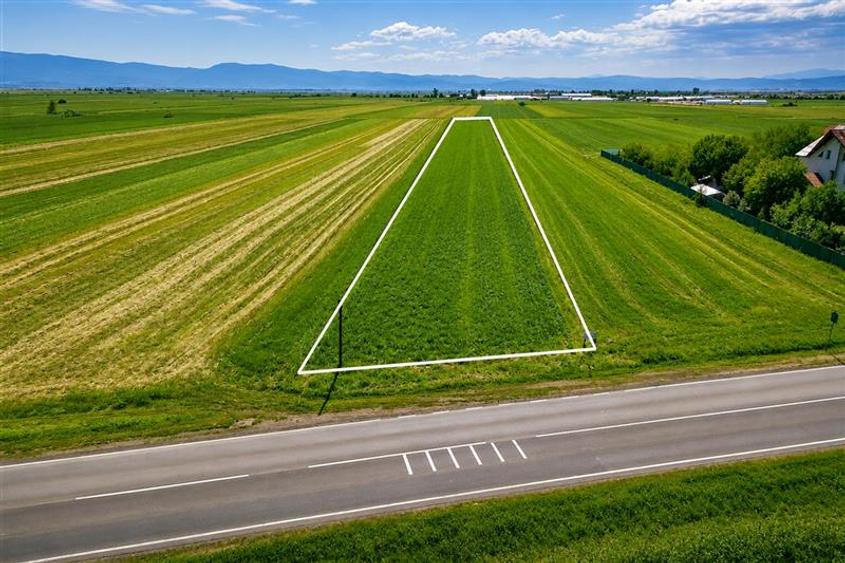 Teren Construcții intravilan de 7500 mp, în Cernat