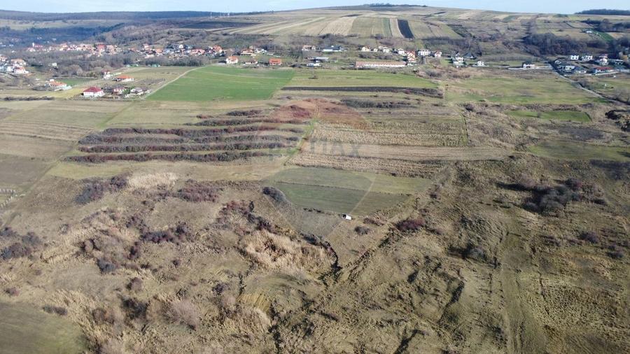 Teren agricol extravilan de 68403 mp, în Popești