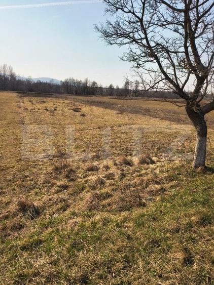 Teren agricol extravilan de 4000 mp, în Exterior Est