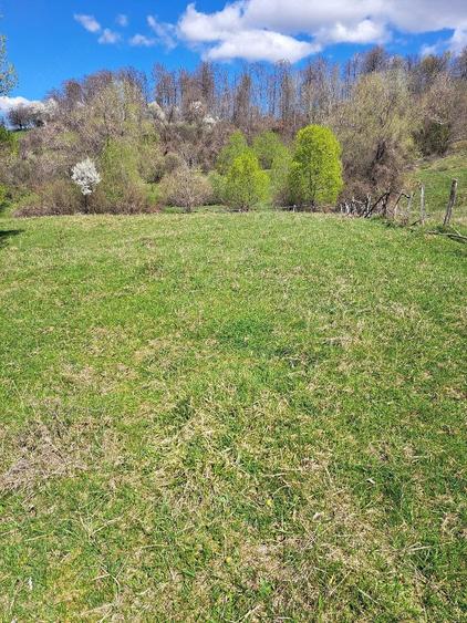 Teren de 3600 mp, în Central