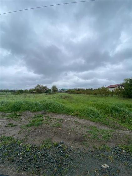 Teren Construcții intravilan de 3993 mp, în Ciorogârla