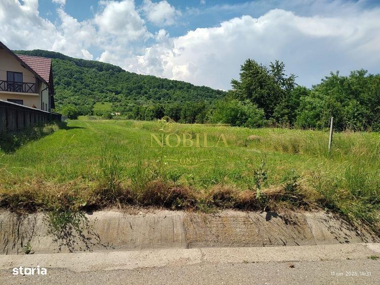Spațiu comercial, în Cașin