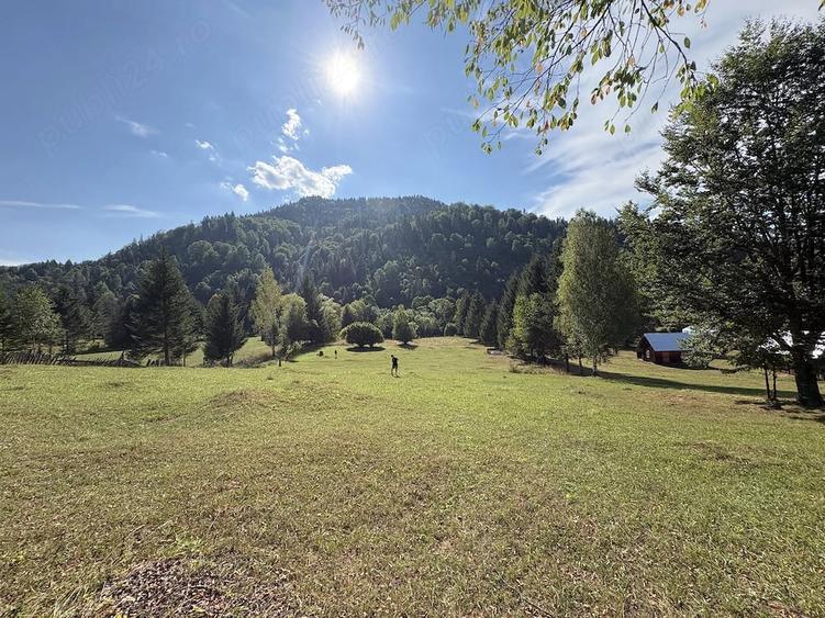 Teren de 4285 mp, în Bradu