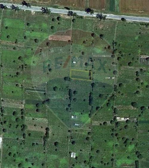 Teren Construcții intravilan de 1000 mp, în Islaz
