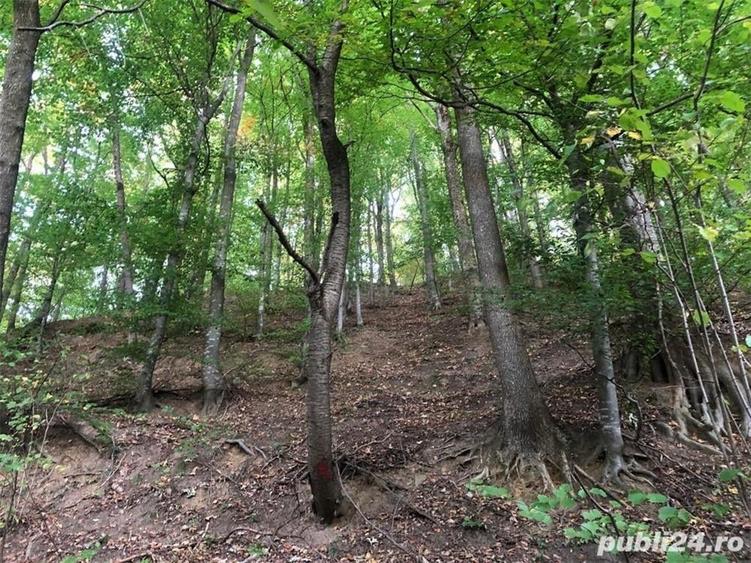 Teren de 1500 mp, în Vlădești