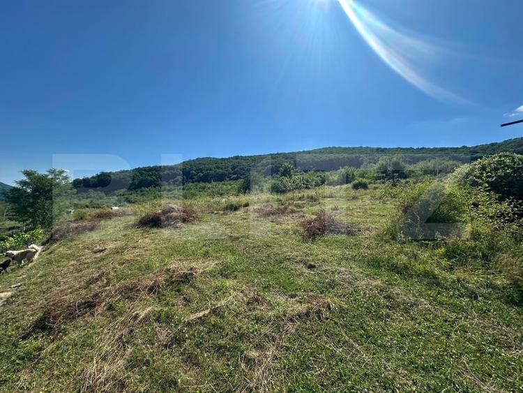 Teren Construcții extravilan de 1500 mp, în Viișoara