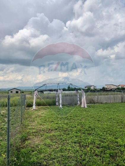 Teren Construcții intravilan de 517 mp, în Bod