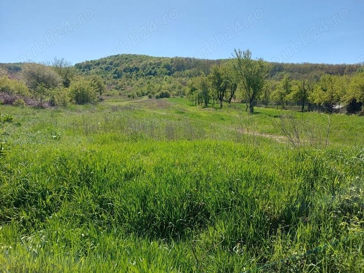 Teren de 76393 mp, în Vladimir