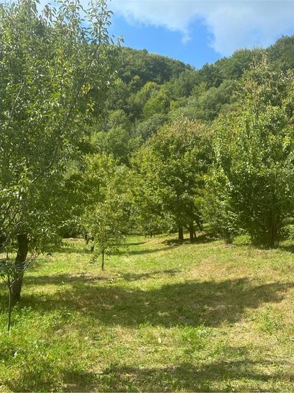 Teren de 2000 mp, în Malu cu Flori