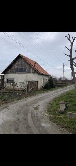 Casă cu 3 camere în Dorobanți