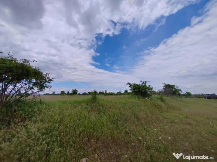 Teren în Ariceștii Rahtivani