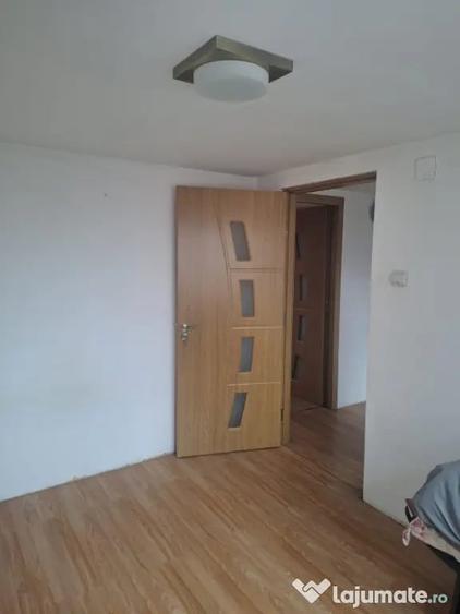Casa individuala, 125 mp, zona Pictor Rosenthal - 17
