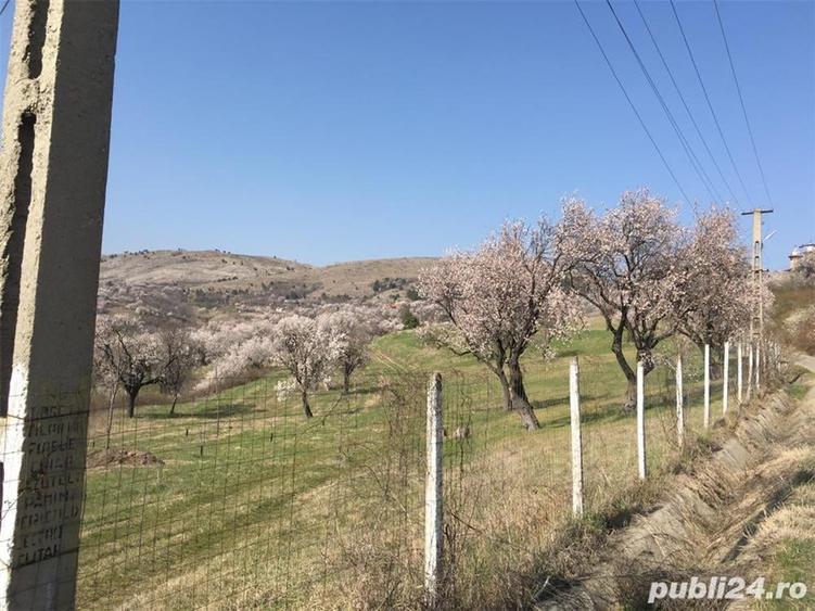 Teren în Central