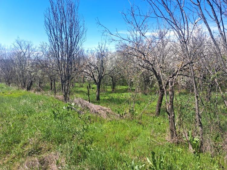 Teren intravilan 5000 mp Slatina  - 3