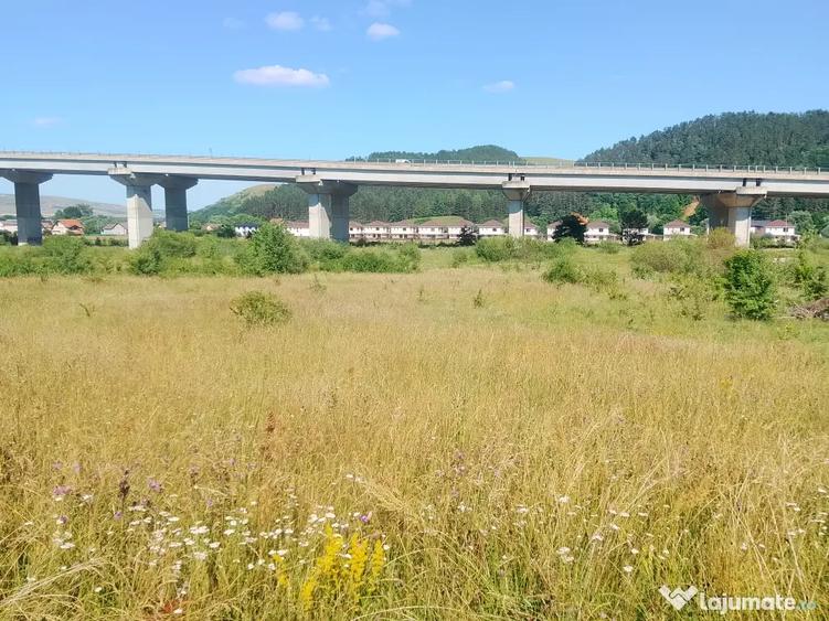 teren extravilan Luna de Sus Cluj Floresti - 6