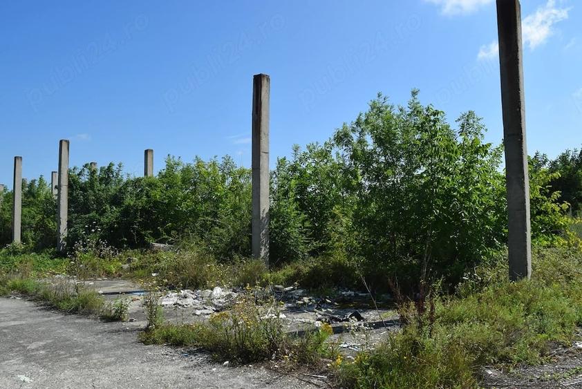 Teren de 50500 mp, în Central